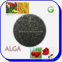 Fertilizante orgânico de extrato de algas marinhas (ALGA WS100)